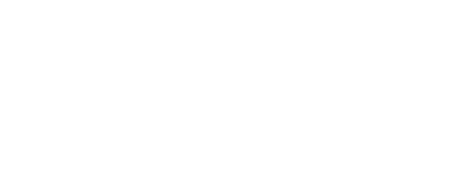 opai-1